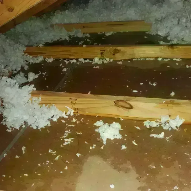 Attic Water Damage in Whately, MA